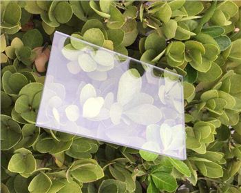 造成西安陽光板破損的幾大因素 造成西安陽光板破損的幾大因素